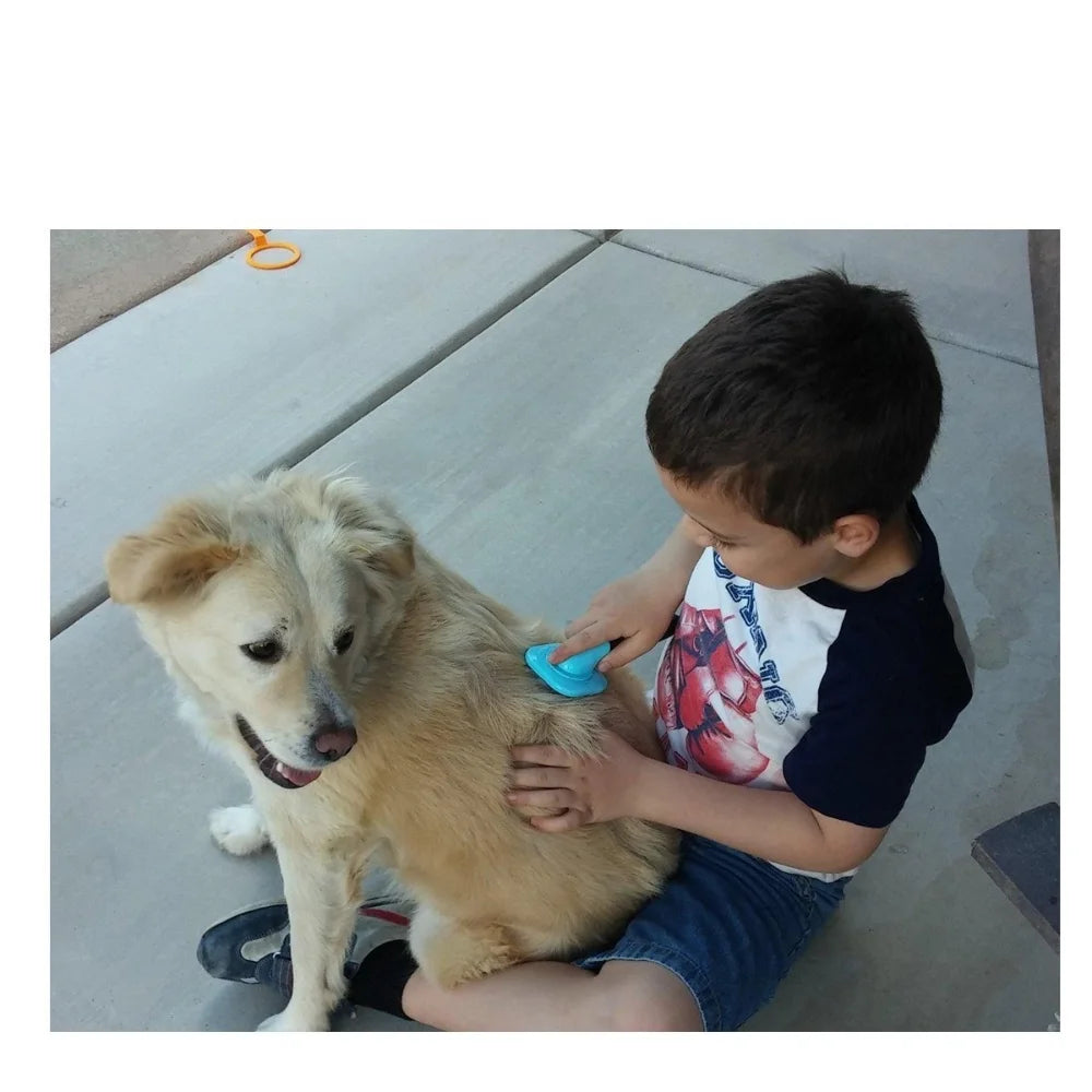 Self-Cleaning Slicker Brush for Shedding Dogs